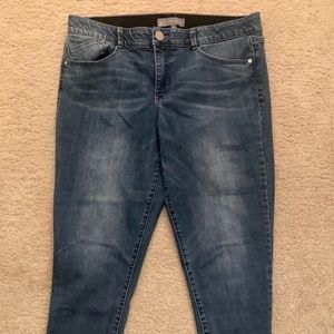 Wit & Wisdom Blue Jeans
